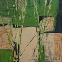 Edle Gräser im Trend